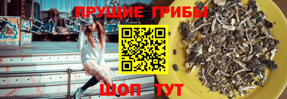 Галлюциногенные грибы Psilocybe  наркошоп  Выборг  Вход с VPN  Псилоцибиновые грибы ЛСД 