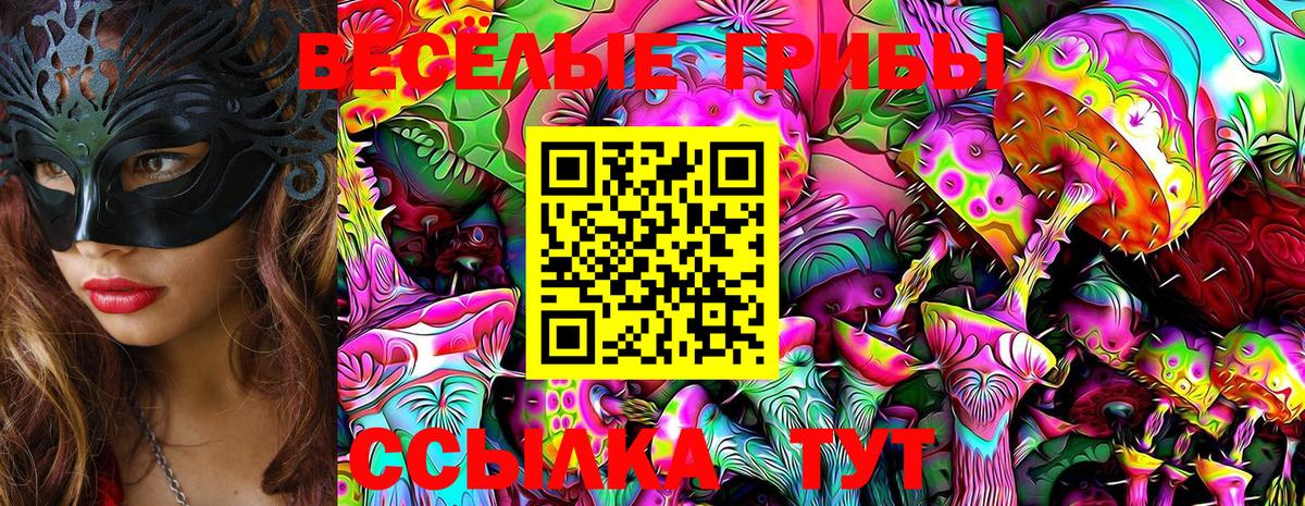 Галлюциногенные грибы GOLDEN TEACHER Выборг